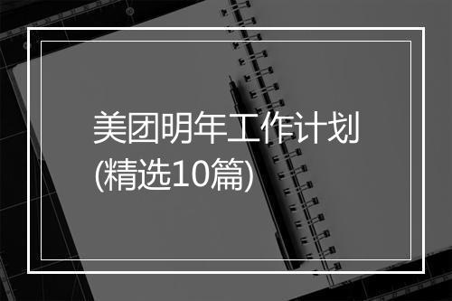 美团明年工作计划(精选10篇)