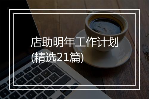 店助明年工作计划(精选21篇)
