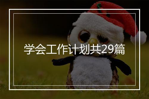 学会工作计划共29篇