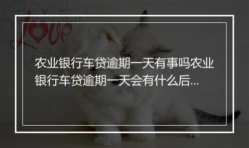 农业银行车贷逾期一天有事吗农业银行车贷逾期一天会有什么后果