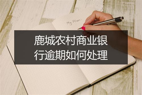 鹿城农村商业银行逾期如何处理