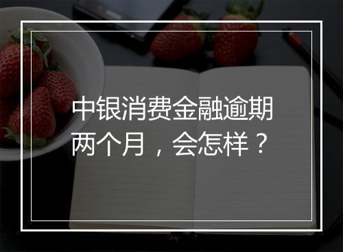 中银消费金融逾期两个月，会怎样？