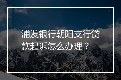 浦发银行朝阳支行贷款起诉怎么办理？