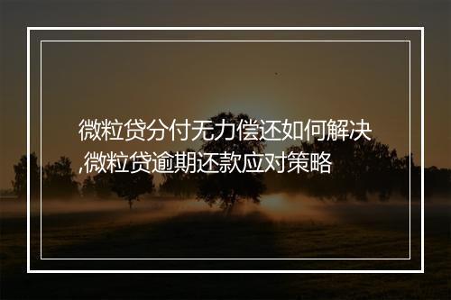 微粒贷分付无力偿还如何解决,微粒贷逾期还款应对策略