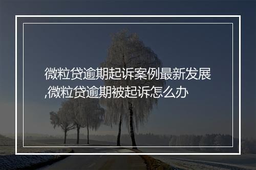微粒贷逾期起诉案例最新发展,微粒贷逾期被起诉怎么办