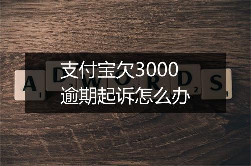 支付宝欠3000逾期起诉怎么办