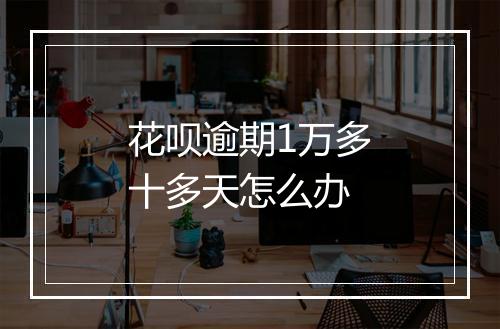 花呗逾期1万多十多天怎么办