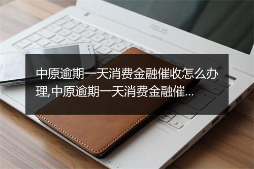 中原逾期一天消费金融催收怎么办理,中原逾期一天消费金融催收流程解析