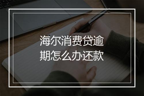 海尔消费贷逾期怎么办还款