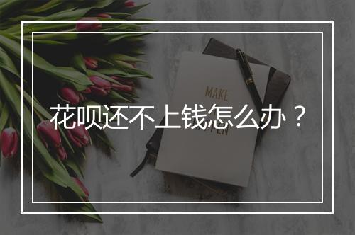 花呗还不上钱怎么办？