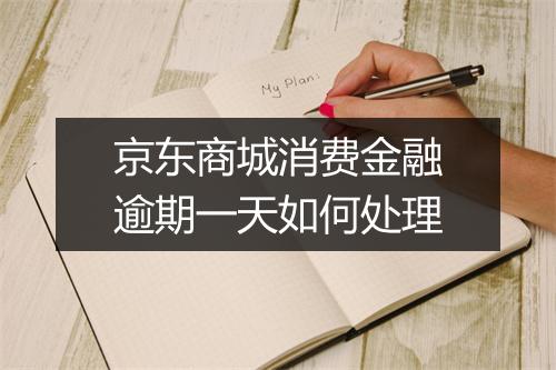 京东商城消费金融逾期一天如何处理