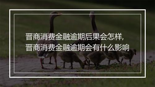 晋商消费金融逾期后果会怎样,晋商消费金融逾期会有什么影响