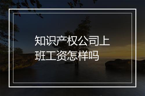 知识产权公司上班工资怎样吗