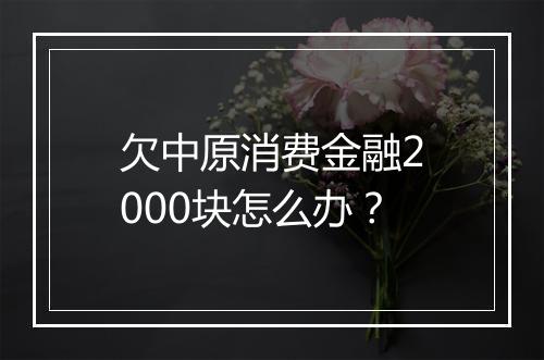 欠中原消费金融2000块怎么办？