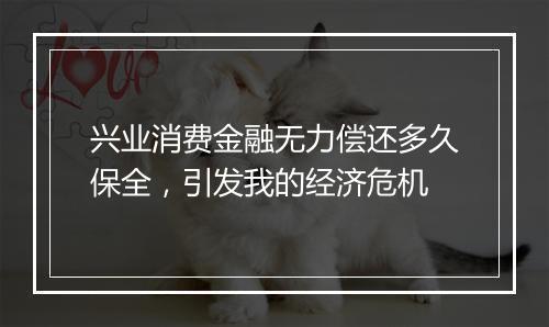 兴业消费金融无力偿还多久保全，引发我的经济危机