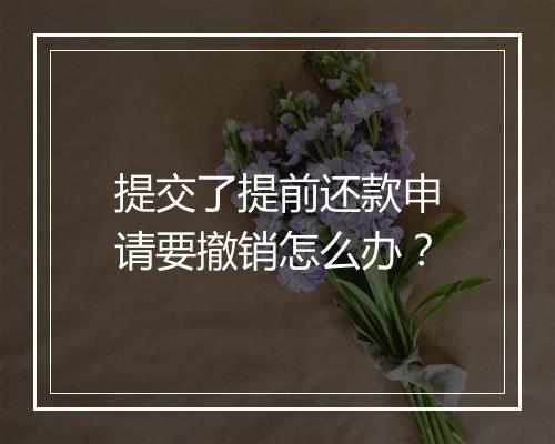 提交了提前还款申请要撤销怎么办？