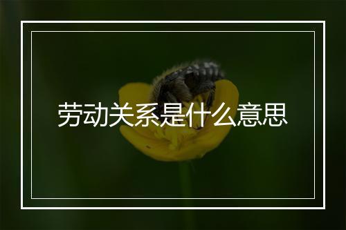 劳动关系是什么意思