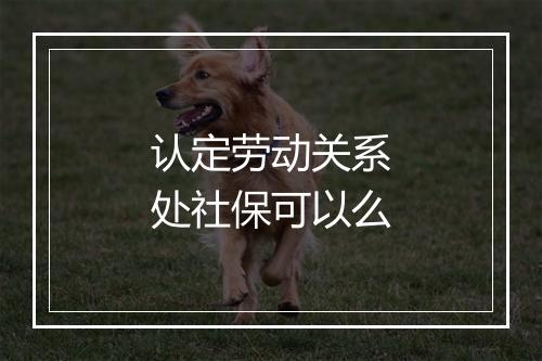 认定劳动关系处社保可以么