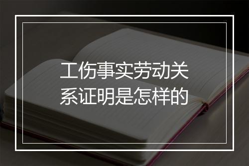 工伤事实劳动关系证明是怎样的