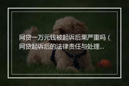 网贷一万元钱被起诉后果严重吗（网贷起诉后的法律责任与处理）