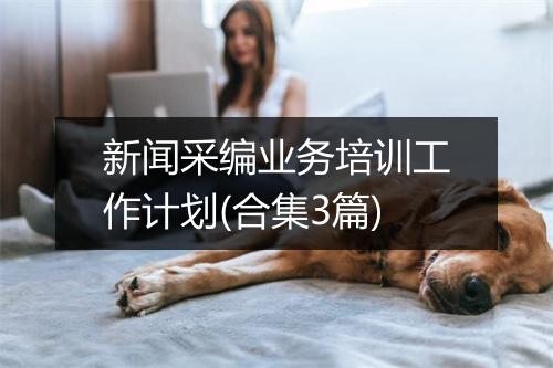 新闻采编业务培训工作计划(合集3篇)