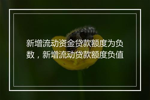 新增流动资金贷款额度为负数，新增流动贷款额度负值