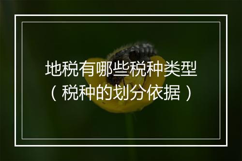 地税有哪些税种类型（税种的划分依据）