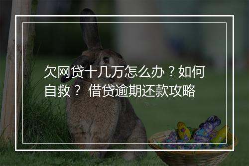 欠网贷十几万怎么办？如何自救？ 借贷逾期还款攻略