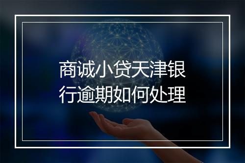 商诚小贷天津银行逾期如何处理