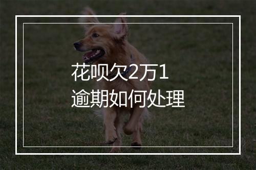 花呗欠2万1逾期如何处理