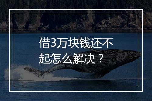 借3万块钱还不起怎么解决？