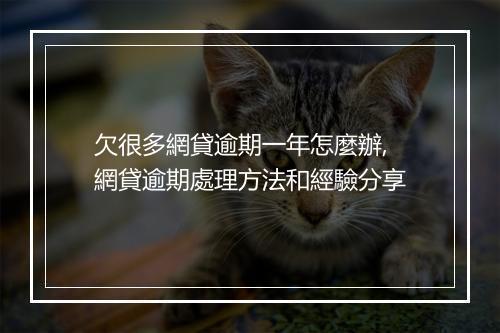 欠很多網貸逾期一年怎麼辦,網貸逾期處理方法和經驗分享
