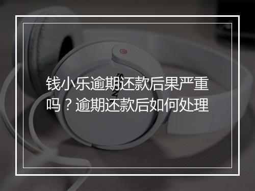钱小乐逾期还款后果严重吗？逾期还款后如何处理
