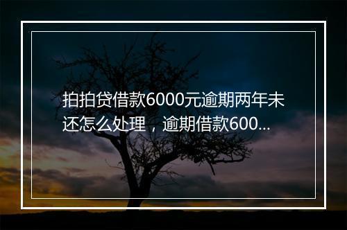 拍拍贷借款6000元逾期两年未还怎么处理，逾期借款6000元处理