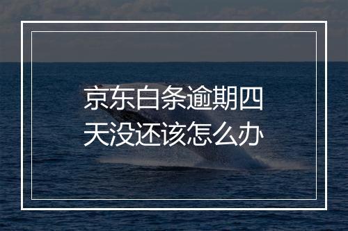 京东白条逾期四天没还该怎么办