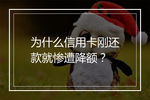 为什么信用卡刚还款就惨遭降额？