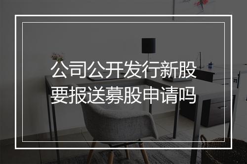 公司公开发行新股要报送募股申请吗