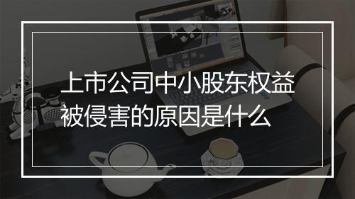 上市公司中小股东权益被侵害的原因是什么