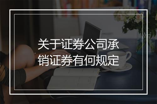关于证券公司承销证券有何规定