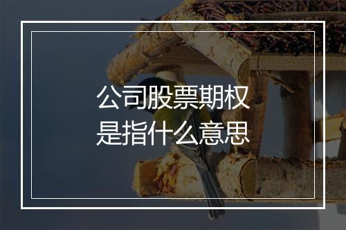 公司股票期权是指什么意思