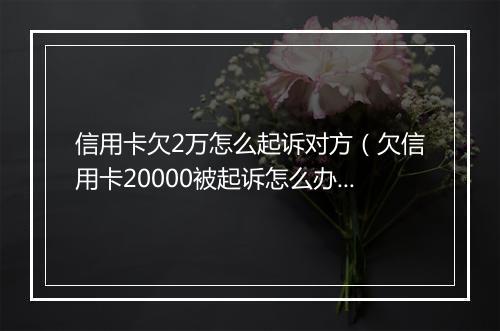 信用卡欠2万怎么起诉对方（欠信用卡20000被起诉怎么办）