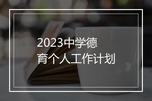 2023中学德育个人工作计划