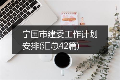 宁国市建委工作计划安排(汇总42篇)