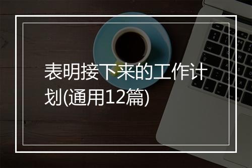 表明接下来的工作计划(通用12篇)