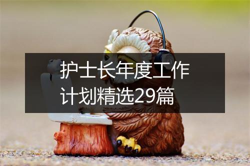 护士长年度工作计划精选29篇