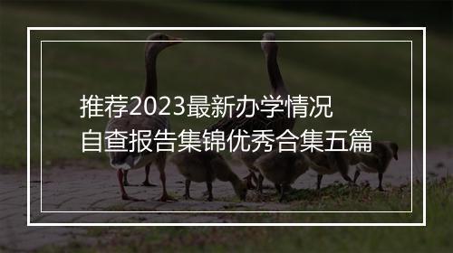 推荐2023最新办学情况自查报告集锦优秀合集五篇