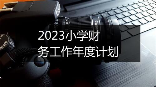 2023小学财务工作年度计划