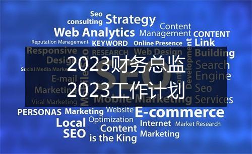 2023财务总监2023工作计划
