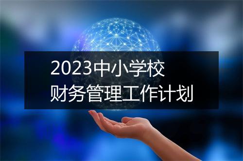 2023中小学校财务管理工作计划