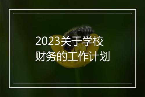 2023关于学校财务的工作计划